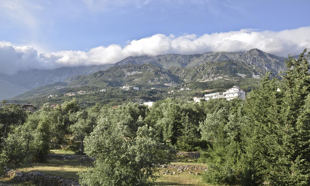 Perivolos Apartments Dhërmi Dış mekan fotoğraf