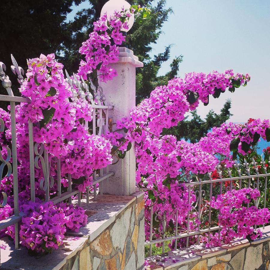 Perivolos Apartments Dhërmi Dış mekan fotoğraf